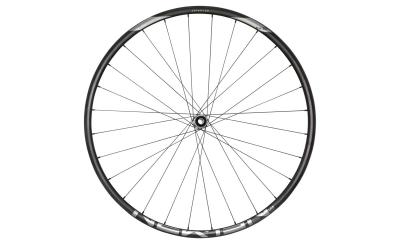 NEWMEN Wheel Advanced SL X.A.30 29" 15x110 SP CL 28h FADE Produktbild 1