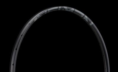 NEWMEN Rim Evolution SL X.A.25 29" 28h blk/gry Produktbild 2