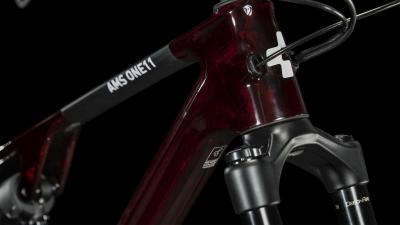 Cube AMS ONE11 C:68X Pro 29 liquidred'n'carbon Gr&ouml;&szlig;e: L Produktbild 6