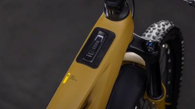 Cube Stereo Hybrid ONE77 HPC Race 800 willowgreen'n'black Gr&ouml;&szlig;e: S Produktbild 1