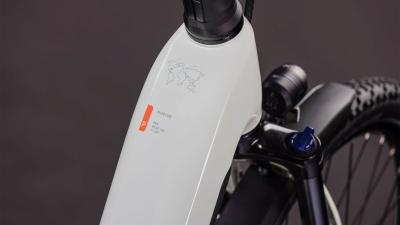 Cube Nuride Hybrid Performance 600 desertstone'n'grey Gr&ouml;&szlig;e: Easy Entry 54 cm Produktbild 1