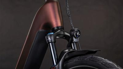 Cube Kathmandu Hybrid Pro 800 sunglow'n'chrome Gr&ouml;&szlig;e: Easy Entry 58 cm Produktbild 5