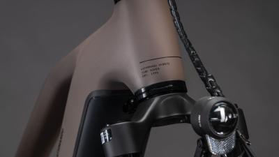 Cube Kathmandu Hybrid EXC 800 cedar'n'chrome Gr&ouml;&szlig;e: Trapeze 58 cm Produktbild 5