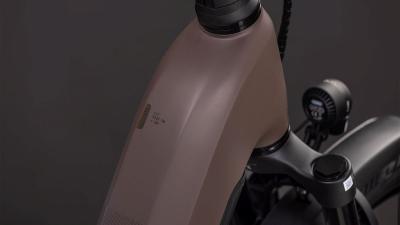 Cube Kathmandu Hybrid EXC 800 cedar'n'chrome Gr&ouml;&szlig;e: Easy Entry 62 cm Produktbild 1