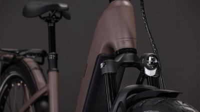 Cube Kathmandu Hybrid EXC 800 cedar'n'chrome Gr&ouml;&szlig;e: Easy Entry 62 cm Produktbild 5