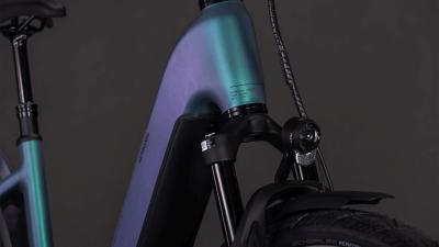 Cube Kathmandu Hybrid EXC 800 smaragdgrey'n'prism Gr&ouml;&szlig;e: Easy Entry 46 cm Produktbild 5