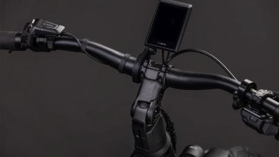 Cube Kathmandu Hybrid SLX 800 silverdust'n'chrome Gr&ouml;&szlig;e: Trapeze 46 cm Produktbild 3