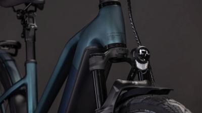 Cube Kathmandu Hybrid SLT 800 duskwood'n'goblin Gr&ouml;&szlig;e: Trapeze 58 cm Produktbild 4