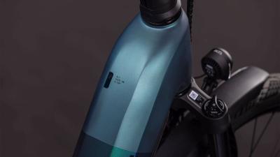 Cube Kathmandu Hybrid SLT 800 duskwood'n'goblin Gr&ouml;&szlig;e: Easy Entry 50 cm Produktbild 1