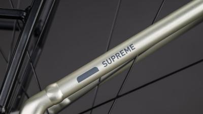Cube Supreme RT Hybrid Comfort EXC 600 champagne'n'grey Gr&ouml;&szlig;e: Easy Entry 42 cm Produktbild 4