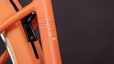 Cube Aruba Hybrid 600 papaya'n'creme Gr&ouml;&szlig;e: Easy Entry 54 cm Produktbild 3