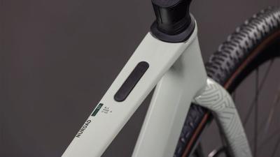 Cube Nuroad C:62 SLX reedbeige'n'chrome Gr&ouml;&szlig;e: XS Produktbild 1