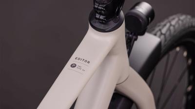 Cube Editor Pro FE oatgrey'n'grey Gr&ouml;&szlig;e: 54 cm Produktbild 1