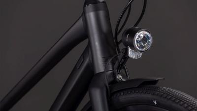 Cube Nulane Pro FE grey'n'chrome Gr&ouml;&szlig;e: Trapeze 47 cm Produktbild 4