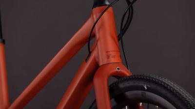 Cube Nulane Race amber'n'black Gr&ouml;&szlig;e: Trapeze 53 cm Produktbild 5