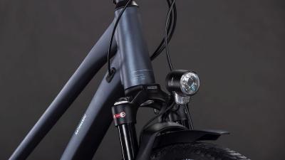 Cube Kathmandu EXC metallicgrey'n'chrome Gr&ouml;&szlig;e: Trapeze 50 cm Produktbild 5