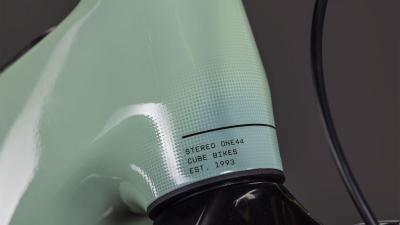 Cube Stereo Hybrid ONE44 HPC Race 800 driedherbs'n'black Gr&ouml;&szlig;e: XL Produktbild 6