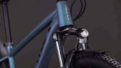 Cube Aim Pro FE smaragdgrey'n'prism Gr&ouml;&szlig;e: L Produktbild 4