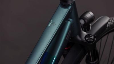 Cube Kathmandu SLT duskwood'n'goblin Gr&ouml;&szlig;e: Trapeze 46 cm Produktbild 1